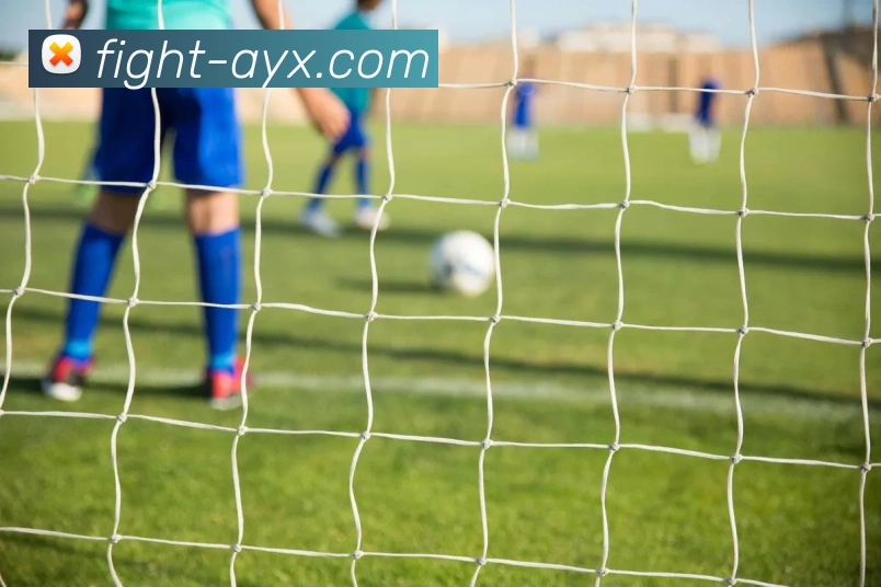 App Interface Preview